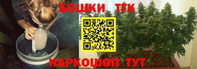 прущие грибы Комсомольск-на-Амуре