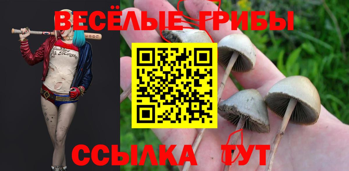 Псилоцибиновые грибы MAGIC MUSHROOMS Спасск-Дальний