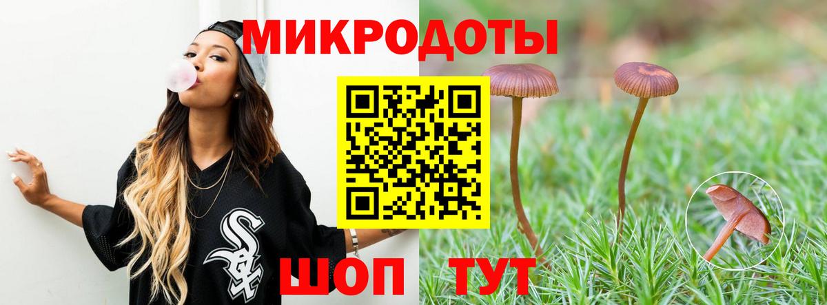 Спасск-Дальний  Псилоцибиновые грибы ЛСД  Псилоцибиновые грибы Psilocybine cubensis  Вход с VPN 